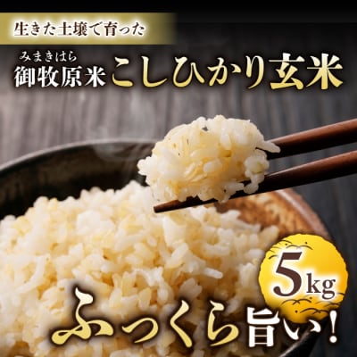 【里山JAPAN】長野県産!生きた土壌で育った御牧原米こしひかり 玄米(令和7年産)　5kg