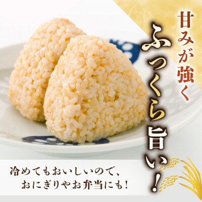 【里山JAPAN】長野県産!生きた土壌で育った御牧原米こしひかり 玄米(令和7年産)　5kg