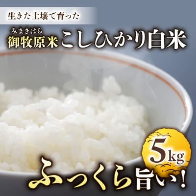 【先行受付2026年発送】長野県産!生きた土壌で育った御牧原米こしひかり 白米(八分づき)　5kg