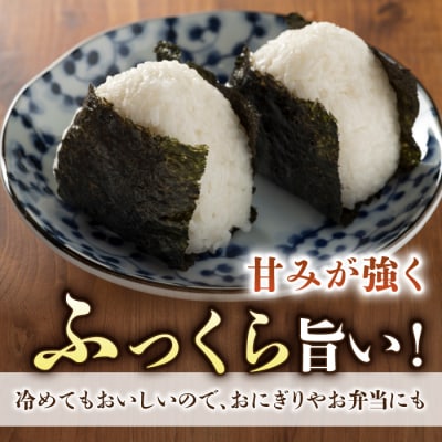 【先行受付2026年発送】長野県産!生きた土壌で育った御牧原米こしひかり 白米(八分づき)　5kg
