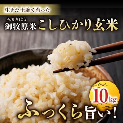 【里山JAPAN】長野県産!生きた土壌で育った御牧原米こしひかり 玄米(令和7年産)　10kg