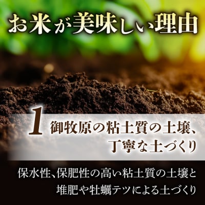 【里山JAPAN】長野県産!生きた土壌で育った御牧原米こしひかり 玄米(令和7年産)　10kg