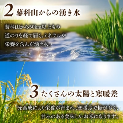 【里山JAPAN】長野県産!生きた土壌で育った御牧原米こしひかり 玄米(令和7年産)　10kg
