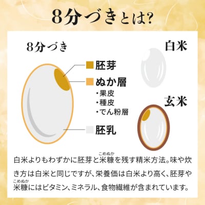 【里山JAPAN】長野県産!生きた土壌で育った御牧原米こしひかり白米(八分づき・令和7年産)10kg