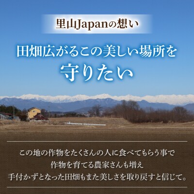 【里山JAPAN】長野県産!生きた土壌で育った御牧原米こしひかり白米(八分づき・令和7年産)10kg