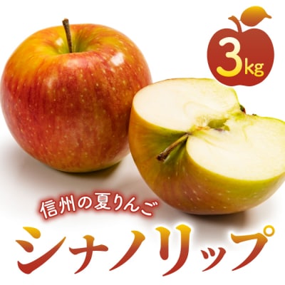 東御市産りんご長野県生まれのジューシーな「シナノリップ」3kg ※8月上旬～9月上旬ごろお届け予定