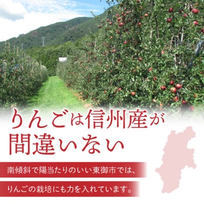 東御市産りんご長野県生まれのジューシーな「シナノリップ」3kg ※8月上旬～9月上旬ごろお届け予定