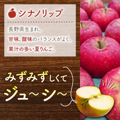 東御市産りんご長野県生まれのジューシーな「シナノリップ」3kg ※8月上旬～9月上旬ごろお届け予定