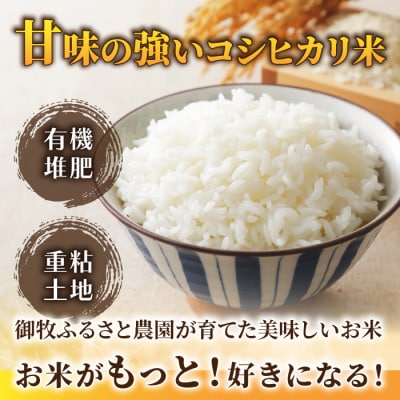【先行受付2025年発送】御牧の好米人(コシヒカリ)白米5kg