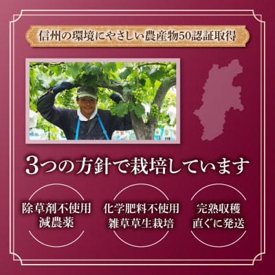 【東御こもだ果樹園】ぶどう農家の完熟巨峰100%ジュース 2024(720ml)1本/贈答化粧箱入り
