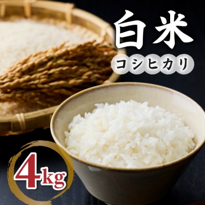 【小田農園】冷めても美味しいコシヒカリ　白米4kg　|※2025年9月下旬以降、発送開始予定