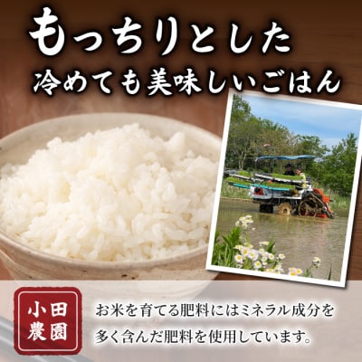 【小田農園】冷めても美味しいコシヒカリ　白米4kg　|※2025年9月下旬以降、発送開始予定
