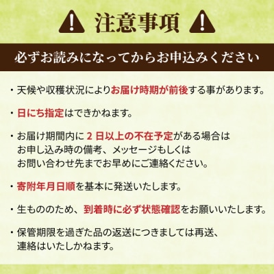 【小田農園】冷めても美味しいコシヒカリ　白米4kg　|最短4〜7日程度でお届け