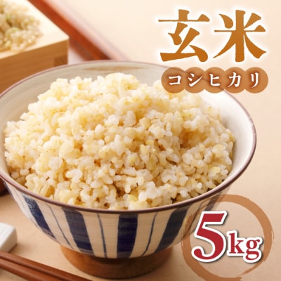 【小田農園】冷めても美味しいコシヒカリ　玄米5kg　|※2025年9月下旬以降、発送開始予定