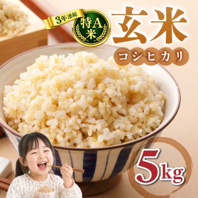 玄米5kg 【冷めても美味しいコシヒカリ】|最短4～7日程度でお届け　※着日指定不可【小田農園】