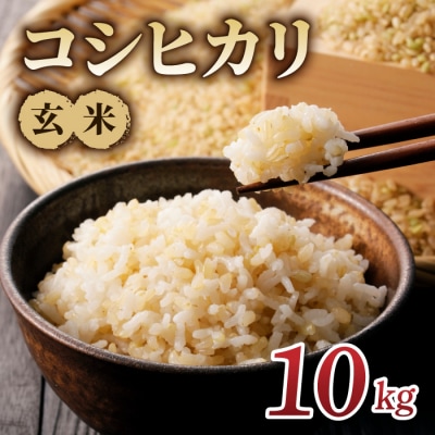 【新米予約】令和8年産 コシヒカリ玄米10kg|特A米 長野 ※2026年10月上旬以降順次発送