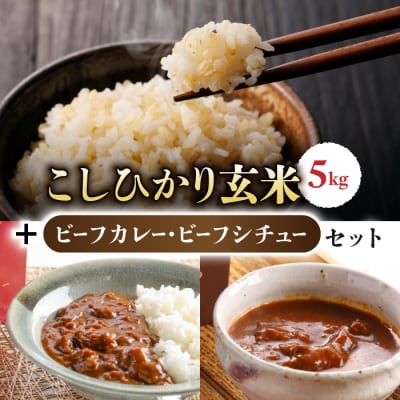【里山JAPAN】御牧原米こしひかり 玄米5kgと小田切牧場ビーフカレー、ビーフシチューセット