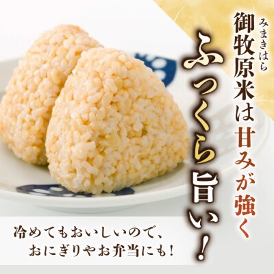 【里山JAPAN】御牧原米こしひかり 玄米5kgと小田切牧場ビーフカレー、ビーフシチューセット