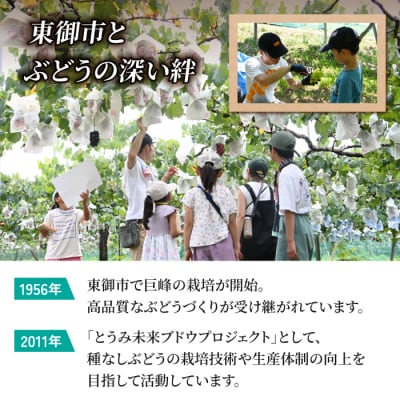 ぶどうの産地を応援!!とうみ未来ブドウプロジェクトと子どもたちが送る　シャインマスカット 2房