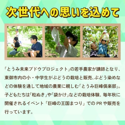 ぶどうの産地を応援!!とうみ未来ブドウプロジェクトと子どもたちが送る　シャインマスカット 2房