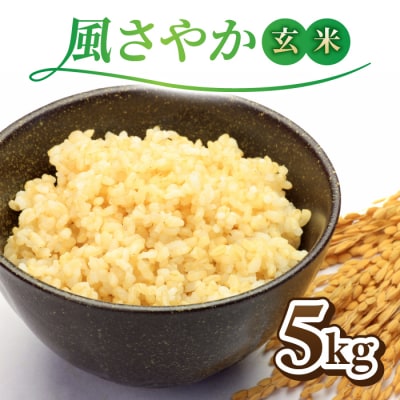 令和7年産新米!長野県オリジナル品種「風さやか」玄米5kg　※2025年10月上旬以降順次発送