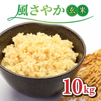 令和7年産新米!長野県オリジナル品種「風さやか」玄米10kg　※2025年10月上旬以降順次発送