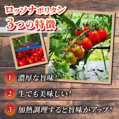 【おぎはら園】農家直送!朝採れイタリアンミニトマト「ロッソナポリタン」約2kg