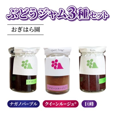 【おぎはら園】ぶどう園のぶどうジャム3種(巨峰、クイーンルージュ(R)、ナガノパープル)各140g