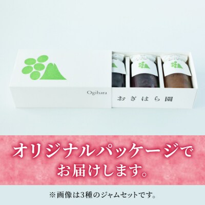 【おぎはら園】ぶどう園のクイーンルージュ(R)ジャム 　3個入り