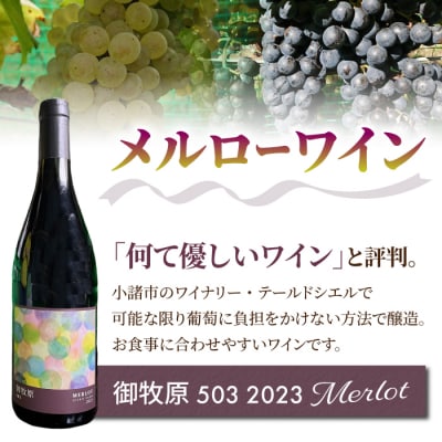 【おいしい農園】メルローワイン「御牧原503」ロゼワイン「御牧原504」セット(各1本)
