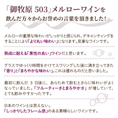 【おいしい農園】メルローワイン「御牧原503」ロゼワイン「御牧原504」セット(各1本)