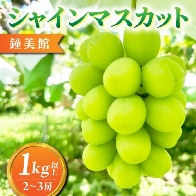 【鐘美館】標高750mで育ったシャインマスカット1キロ以上(2～3房)