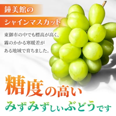 【鐘美館】標高750mで育ったシャインマスカット1キロ以上(2～3房)