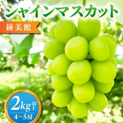 【鐘美館】標高750mで育ったシャインマスカット2キロ以上(4～5房) 