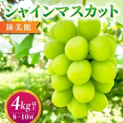 【先行受付2026年発送】標高750mで育ったシャインマスカット4キロ以上(8～10房)|鐘美館