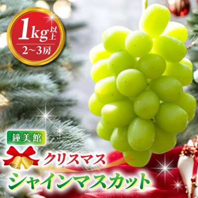 【先行受付2026年発送】標高750mで育ったクリスマスシャインマスカット1キロ以上(2～3房) 