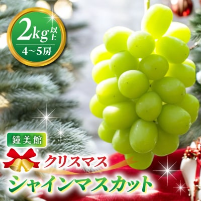 【先行受付2026年発送】標高750mで育ったクリスマスシャインマスカット2キロ以上(4～5房)