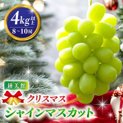 【先行受付2026年発送】標高750mで育ったクリスマスシャインマスカット4キロ以上(8～10房) 