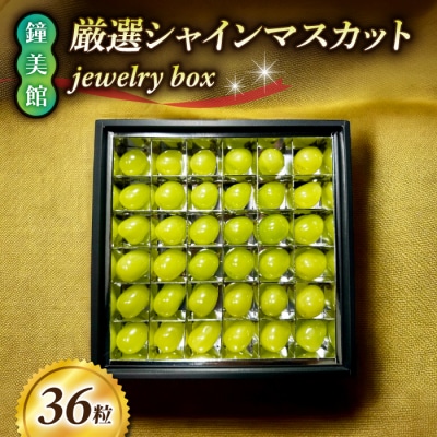 【先行受付2026年発送】標高750mで育った厳選シャインマスカットjewelry box(36粒)
