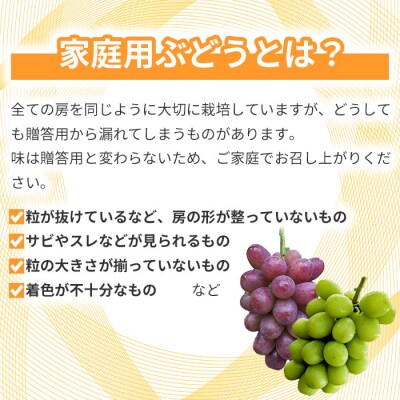【とねが果樹園】家庭用 シャインマスカット3～4房(1.5kg以上)|日・月限定発送、発送指定不可