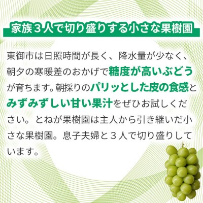 【とねが果樹園】家庭用シャインマスカット&クイーンルージュ(R)各1房(計1kg以上)日、月発送限定