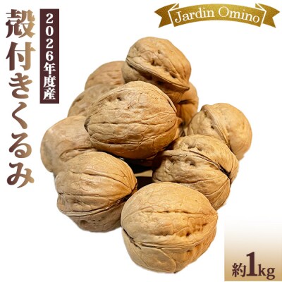 【Jardin Omino】殻付き信州くるみ　約1kg ※2026年産(2027年1月以降お届け)