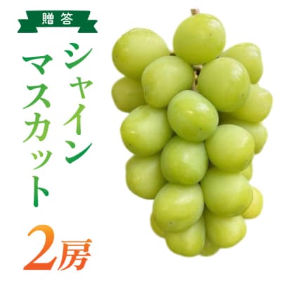 【信州東御ぶどう園】特殊農法シャインマスカット2房(1.1kg以上)贈答用