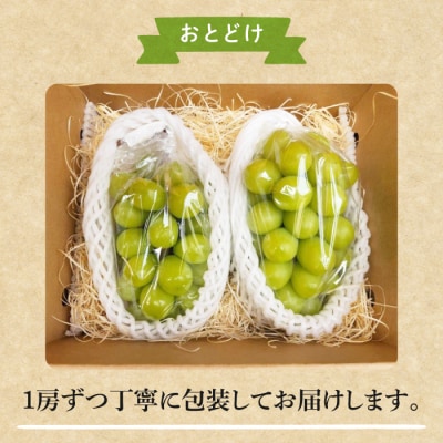 【信州東御ぶどう園】特殊農法シャインマスカット2房(1.1kg以上)贈答用