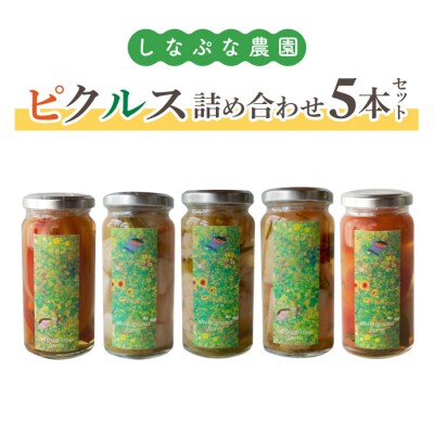 【しなぷな農園】しなぷなピクルス詰め合わせ(5本セット)