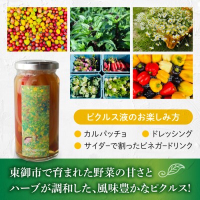 【しなぷな農園】しなぷなピクルス詰め合わせ(5本セット)