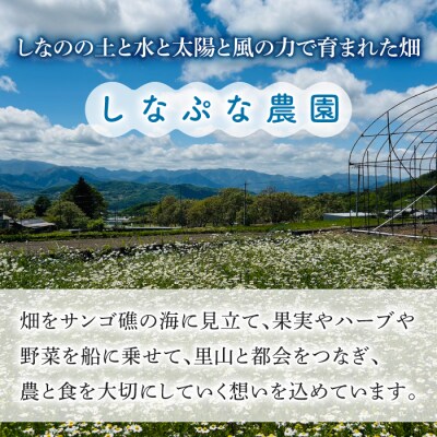 【しなぷな農園】しなぷなピクルス詰め合わせ(5本セット)