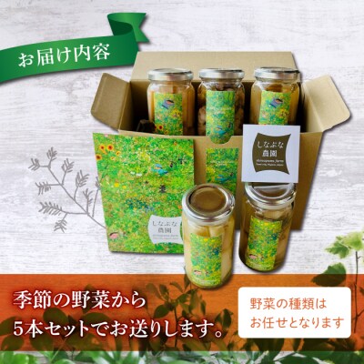 【しなぷな農園】しなぷなピクルス詰め合わせ(5本セット)
