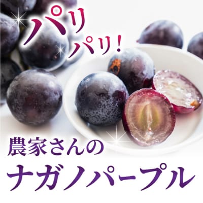 ナガノパープル&高級ぶどう詰め合わせ ご贈答品 2房(月曜、火曜、金曜発送限定)