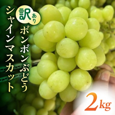 【信州東御ぶどう園】訳アリボンボンぶどう!シャインマスカットたっぷり2kg